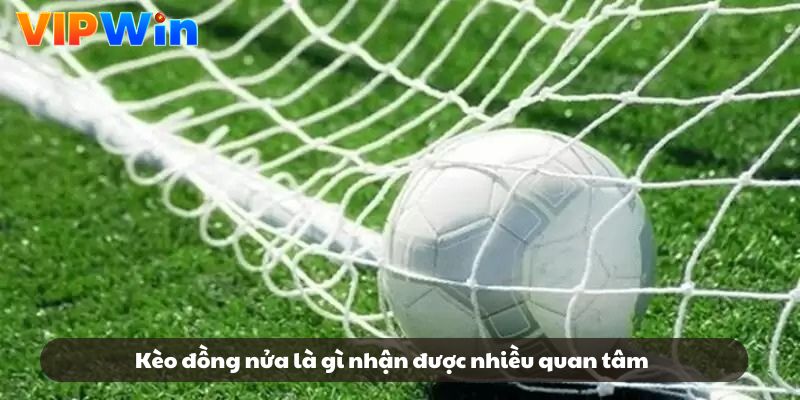 Kèo đồng nửa là gì nhận được nhiều quan tâm Kèo đồng nửa là gì nhận được nhiều quan tâm