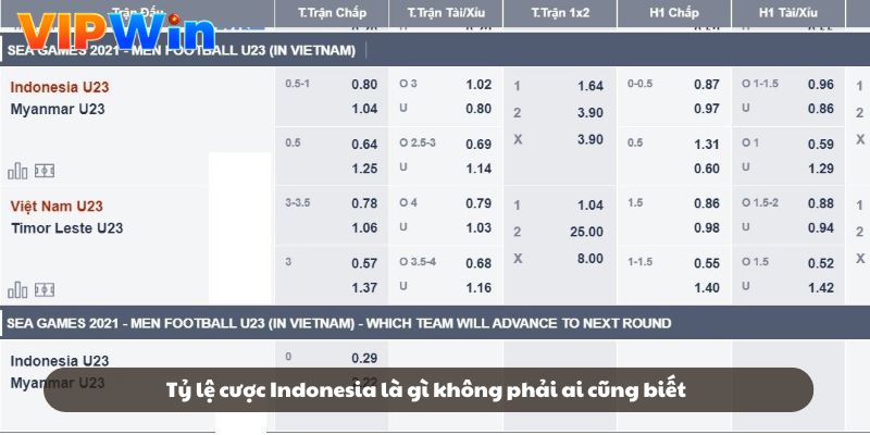 Tỷ lệ cược Indonesia là gì không phải ai cũng biết
